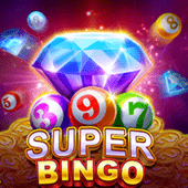 Super Bingo free play 66win
