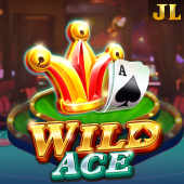 Wild Ace 66win